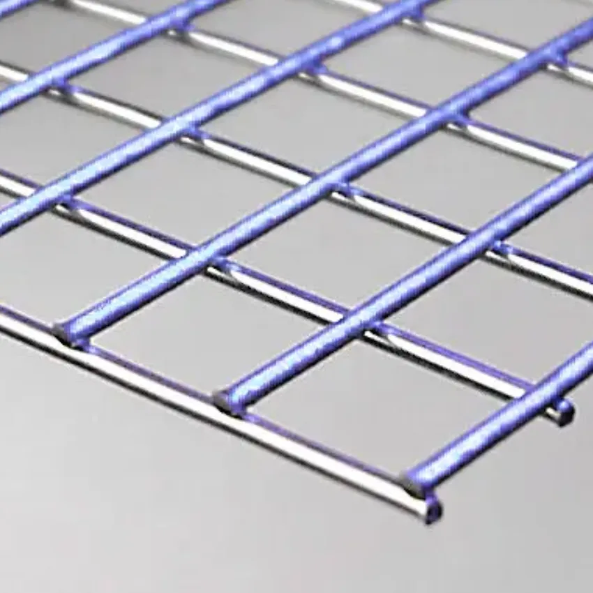 Stainless Steel Small Shape Welded Wire Mesh